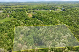 3617 Pea Ridge Rd, Cornelia, GA 30531 - Photo 102