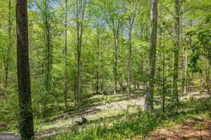 3617 Pea Ridge Rd, Cornelia, GA 30531 - Photo 64