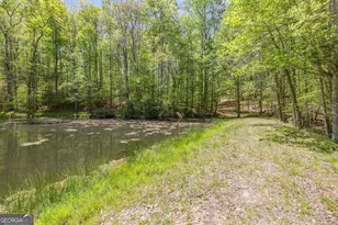 3617 Pea Ridge Rd, Cornelia, GA 30531 - Photo 76