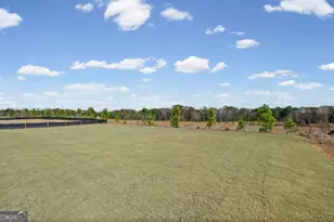 256 Nesta Grove, Locust Grove, GA 30248 - Photo 18