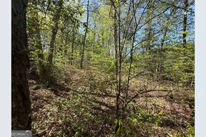 0 Windfield Circle #35, 36, Blue Ridge, GA 30513 - Photo 8