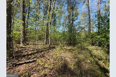 0 Windfield Circle #35, 36, Blue Ridge, GA 30513 - Photo 10