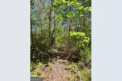0 Windfield Circle #35, 36, Blue Ridge, GA 30513 - Photo 2