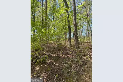 0 Windfield Circle #35, 36, Blue Ridge, GA 30513 - Photo 4