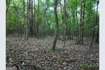 0 Zebulon Road, Milner, GA 30257 - Photo 24