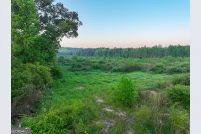 0 Zebulon Road, Milner, GA 30257 - Photo 4