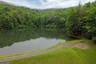 66 Pine Ridge Ct, Ellijay, GA 30536 - Photo 46