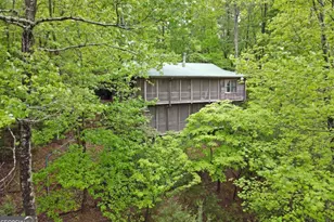 66 Pine Ridge Ct, Ellijay, GA 30536 - Photo 4