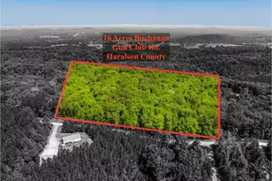 16 Acres Gun Club Rd, Buchanan, GA 30113 - Photo 1