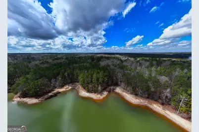 3+/- Acres Happy Hollow Road, Hampton, GA 30228 - Photo 14