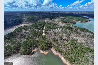 3+/- Acres Happy Hollow Road, Hampton, GA 30228 - Photo 18