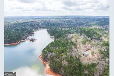 3+/- Acres Happy Hollow Road, Hampton, GA 30228 - Photo 28