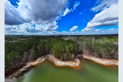 3+/- Acres Happy Hollow Road, Hampton, GA 30228 - Photo 22
