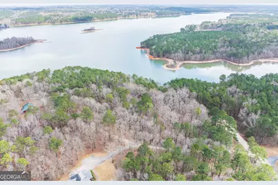 3+/- Acres Happy Hollow Road, Hampton, GA 30228 - Photo 26