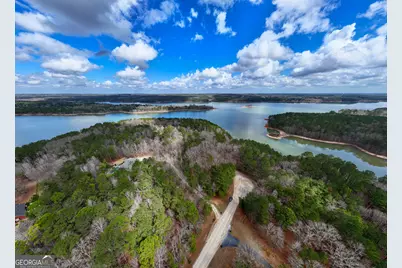 3+/- Acres Happy Hollow Road, Hampton, GA 30228 - Photo 24