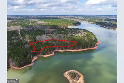 3+/- Acres Happy Hollow Road, Hampton, GA 30228 - Photo 2