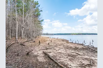 3+/- Acres Happy Hollow Road, Hampton, GA 30228 - Photo 12