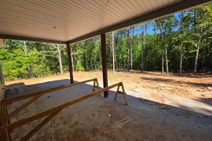 215 Panola Rd, Jackson, GA 30233 - Photo 14
