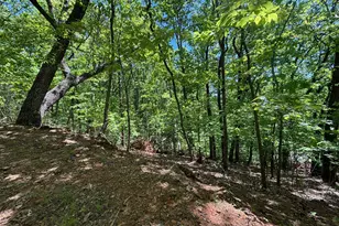 0 Lookout Ridge Rd, Cleveland, GA 30528 - Photo 1