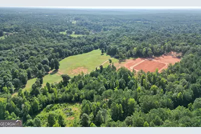2190 Reese Road, Rutledge, GA 30663 - Photo 44