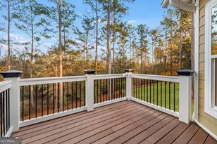 206 Captain Cone Ct, Brooklet, GA 30415 - Photo 60