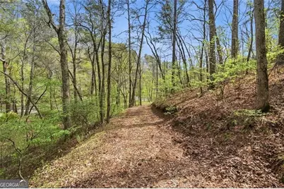 0 Marie Drive, Talking Rock, GA 30175 - Photo 10
