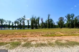 0 Walters Rd, Barnesville, GA 30204 - Photo 10