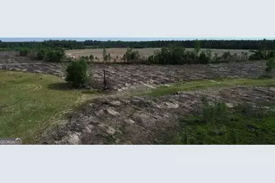 0 Bunn Store Road #TRACT 4, Midville, GA 30441 - Photo 14