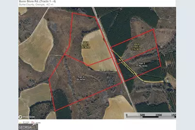 0 Bunn Store Road #TRACT 4, Midville, GA 30441 - Photo 2
