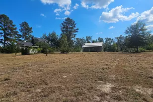 1717 Grady Saunders Rd, Portal, GA 30450 - Photo 38