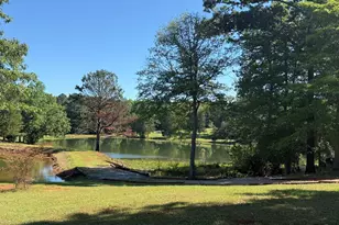 3256 Chalybeate Springs Rd, Woodland, GA 31836 - Photo 78