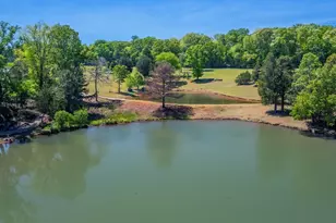 3256 Chalybeate Springs Rd, Woodland, GA 31836 - Photo 68
