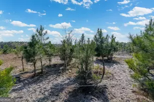 6291 Riverside Rock Rd, Nahunta, GA 31553 - Photo 18