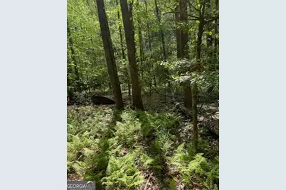 348 Hemlock Trail, Ellijay, GA 30540 - Photo 8