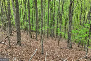 660 Ripshin Mountain Rd, Blue Ridge, GA 30513 - Photo 34