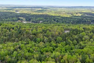 674 Pine Ln, Warm Springs, GA 31830 - Photo 38