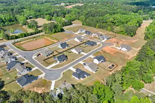 209 Maddington Ct, Senoia, GA 30276 - Photo 72