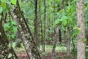 837 Bartram Trace Rd, Rayle, GA 30660 - Photo 68
