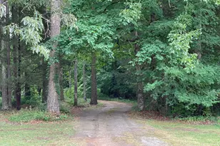 837 Bartram Trace Rd, Rayle, GA 30660 - Photo 66