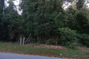 0 Peyton Rd SW, Atlanta, GA 30311 - Photo 1