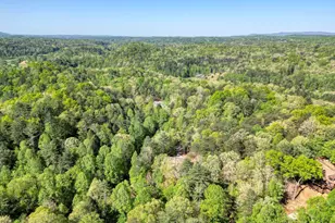 618 Satsuma Ct S, Ellijay, GA 30540 - Photo 58