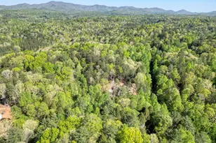618 Satsuma Ct S, Ellijay, GA 30540 - Photo 60