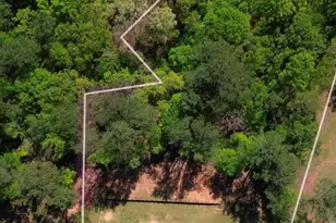 308 Cinnamon Bark Pass, Locust Grove, GA 30248 - Photo 46