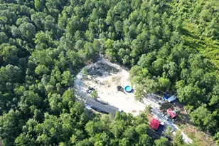 1667 Richard Moore Rd, Dublin, GA 31021 - Photo 1
