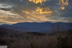 49 Chestnut Overlook, Blue Ridge, GA 30513 - Photo 62