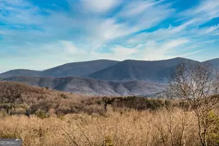 49 Chestnut Overlook, Blue Ridge, GA 30513 - Photo 60
