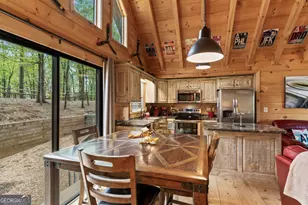 431 Little Bushy Head Rd, Blue Ridge, GA 30513 - Photo 32