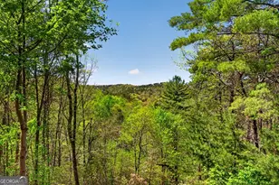 564 Weaver Creek Ln, Blue Ridge, GA 30513 - Photo 36