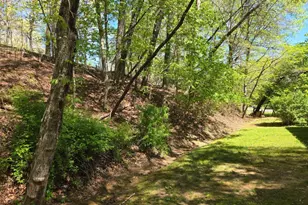 4320 Mineral Bluff Hwy, Mineral Bluff, GA 30559 - Photo 18