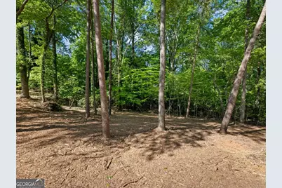 3045 Fowler Road, Gainesville, GA 30501 - Photo 42